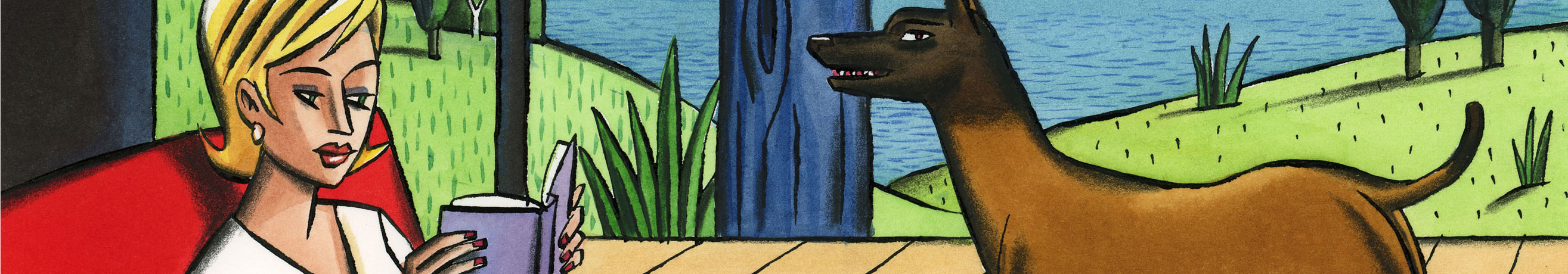Livres de dessins